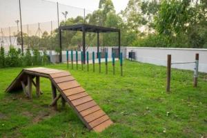 imgi 897 pet 3 04102025023747 compress