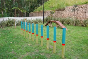 imgi 898 pet 2 04102025024447 compress